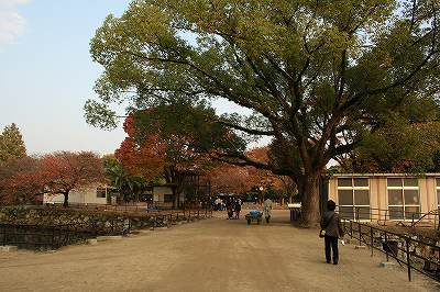 081117-11.jpg