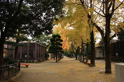081117-12.jpg