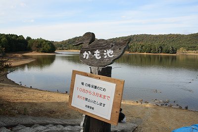 081122-1.jpg