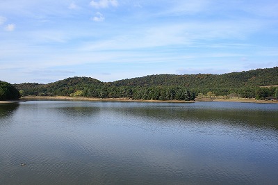 081122-3.jpg