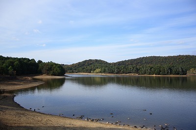 081122-4.jpg