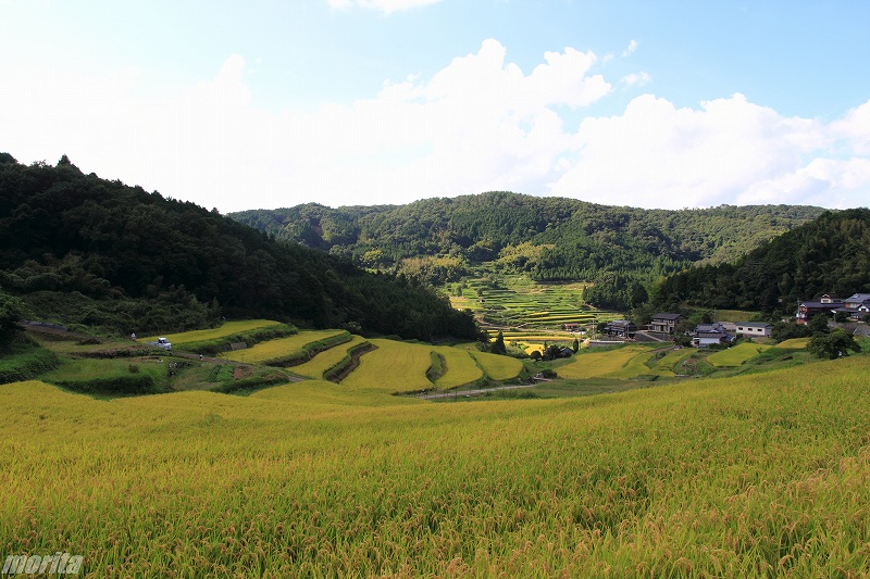 110910-tanada-3.jpg