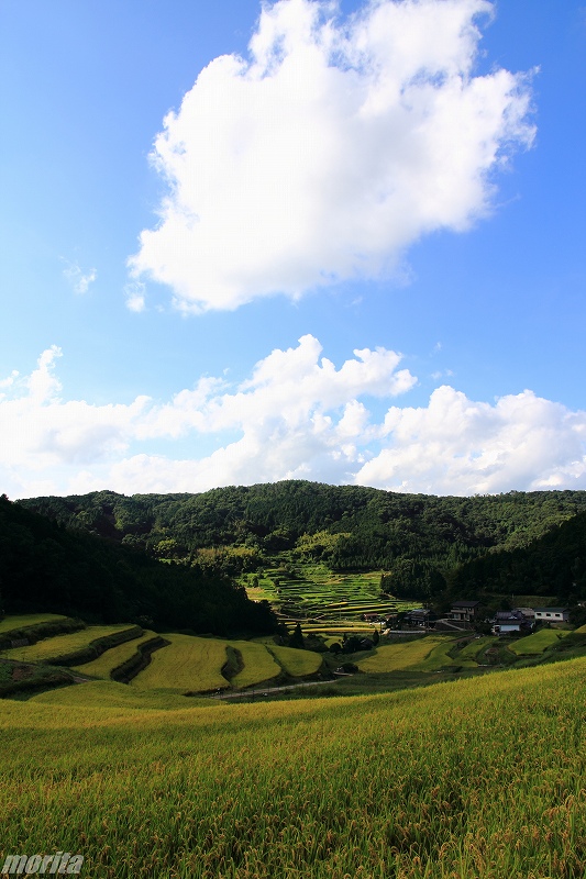 110910-tanada-4.jpg