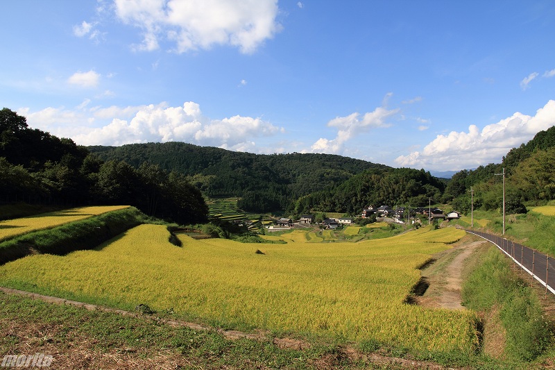 110910-tanada-7.jpg