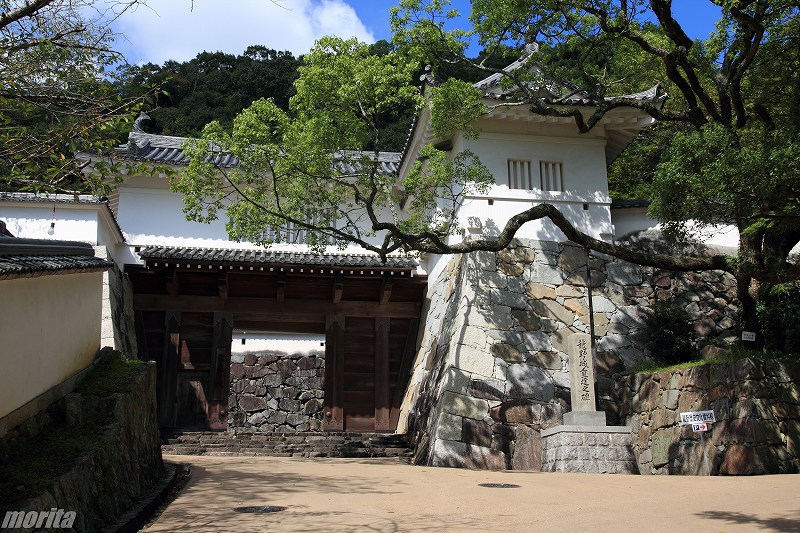 110910-tatsuno-1.jpg