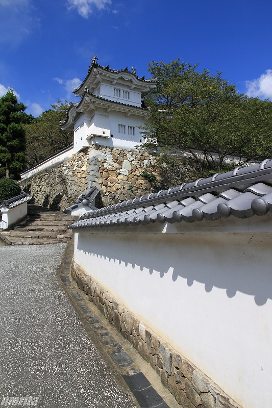 110910-tatsuno-8.jpg