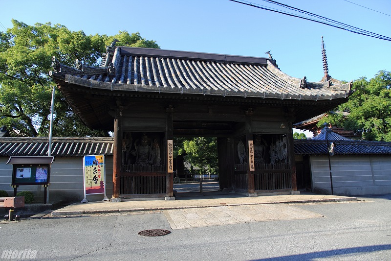110910ikaruga-1.jpg