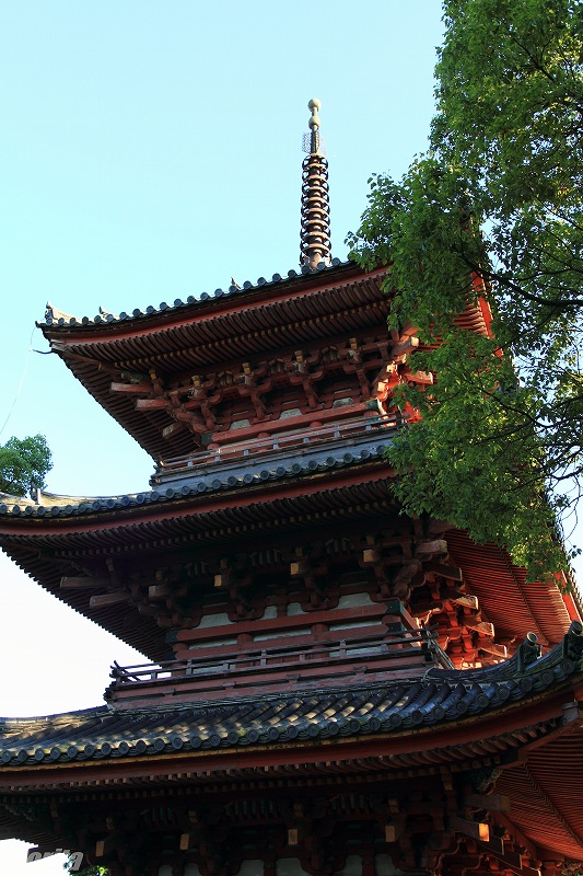 110910ikaruga-6.jpg