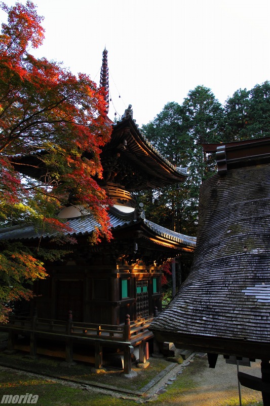 111126-16.jpg
