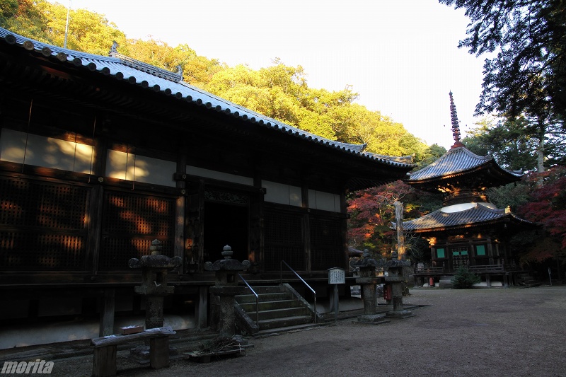 111126-17.jpg
