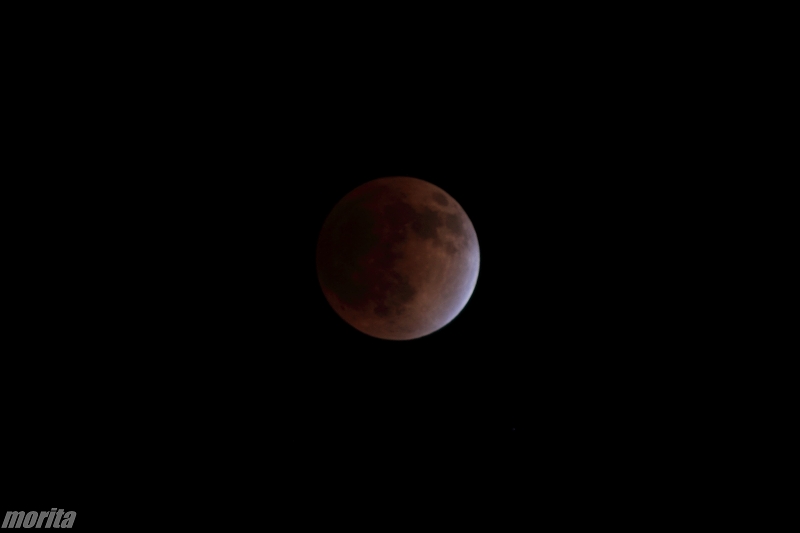 111210-2316.jpg