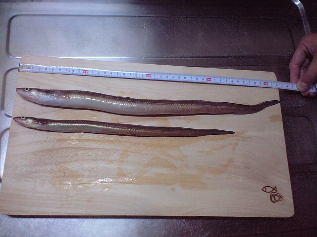 22c1bed9b18eb6c1ab34ff87f6295bd0.jpg