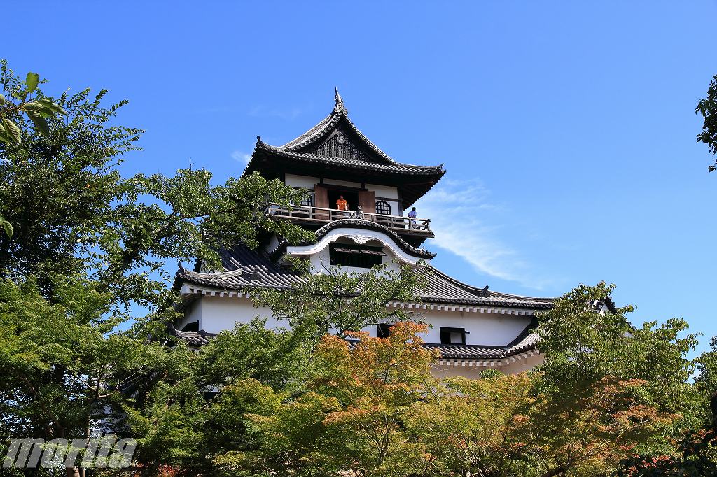 inuyama-7.jpg