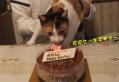 バースデーケーキ.2010