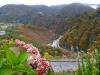DSC01397.jpg