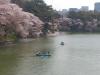 20120413.jpg