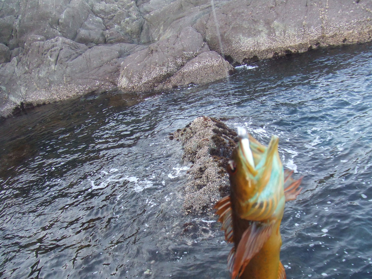 DSCF4239.jpg