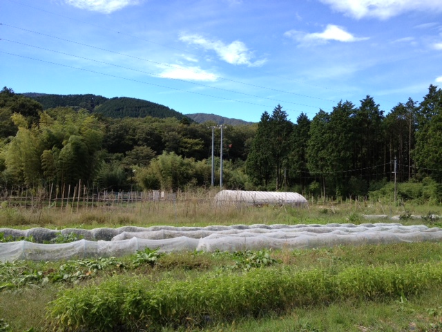 100614h.jpg