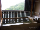 P1000346.jpg
