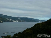P1000347.jpg