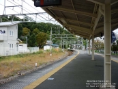 P1000351.jpg