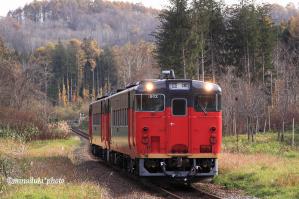 9205D