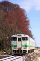 5424D