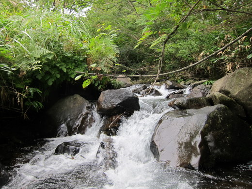 110926-04.jpg
