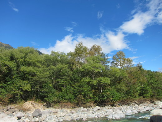IMG_1370.jpg