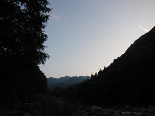 IMG_1382.jpg