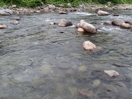 P7090001-001.jpg