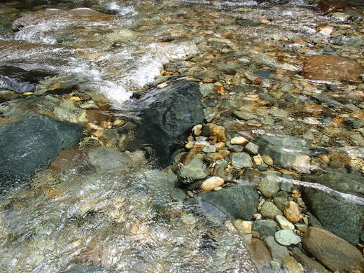 P7210054.jpg