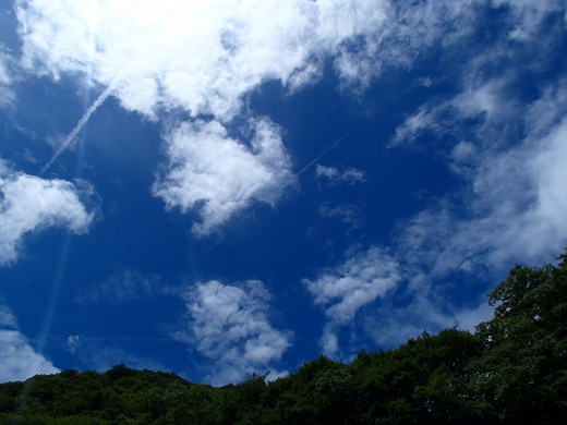 P7210059.jpg