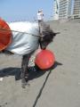 浮きくん調査中