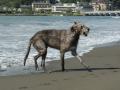 ちび浮きカジカジ・・・。