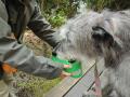 マイお椀で給水中