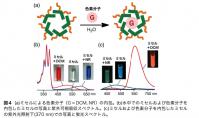 アントラセン界面活性剤3