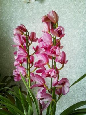 20130311----.jpg