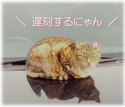20130313-.jpg