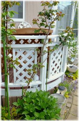 20130508----.jpg