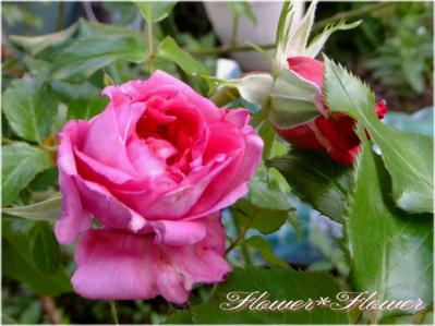 20130525--.jpg