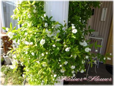 20130527.jpg