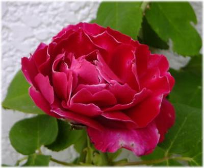 20130601r-.jpg