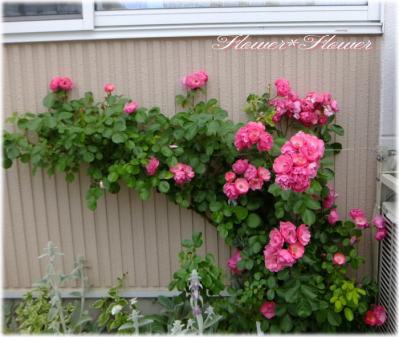 20130616--------.jpg