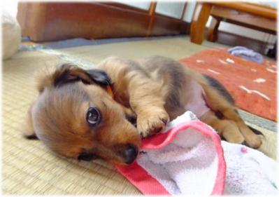20130702--.jpg
