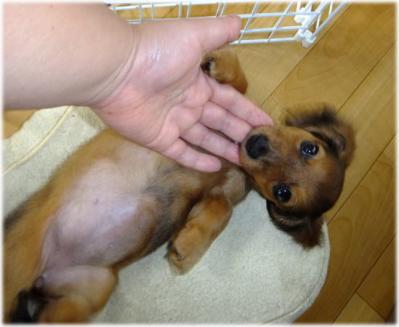 20130718m.jpg