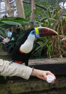 花鳥園5