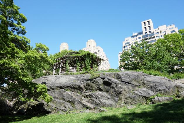 515-6.jpg