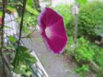 2011_0901_074456-IMG_2291.jpg