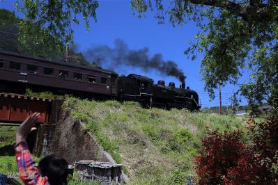 5D3A2510_s1080.jpg